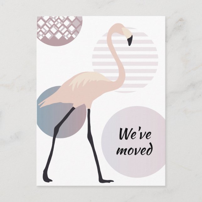 Pink Flamingo Chic Artistic Circles New Address Announcement Postcard (Front)