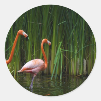 PINK FLAMINGO CLASSIC ROUND STICKER