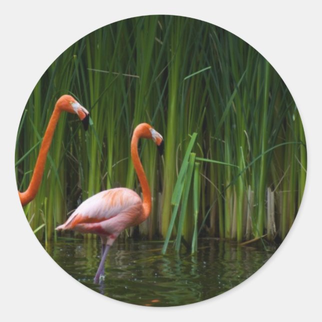 PINK FLAMINGO CLASSIC ROUND STICKER (Front)
