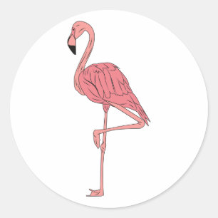 Pink Flamingo Classic Round Sticker