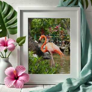 Pink Flamingo Decor Photography Bonita Springs