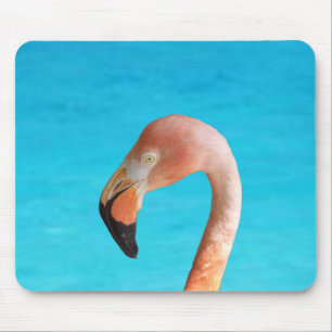 Pink flamingo face against blue water on a mouse pad