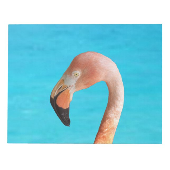 Pink flamingo face against blue water on a notepad (Front)