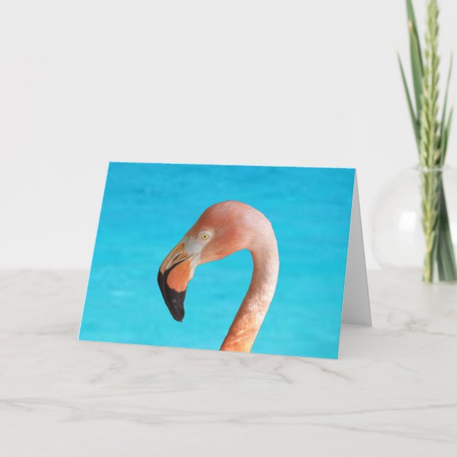 Pink flamingo face against blue water on card (Front)