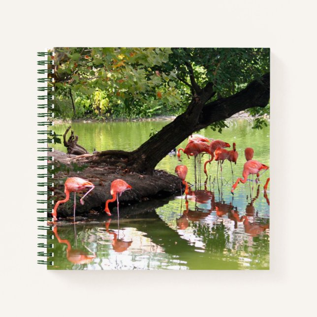 Pink Flamingo Flock Wildlife Photo Notebook (Front)