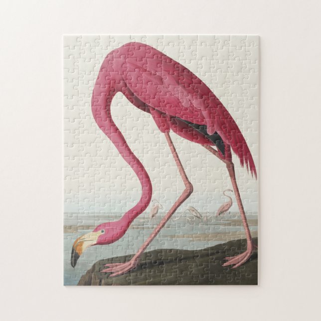 Pink Flamingo from Birds of America Jigsaw Puzzle (Vertical)