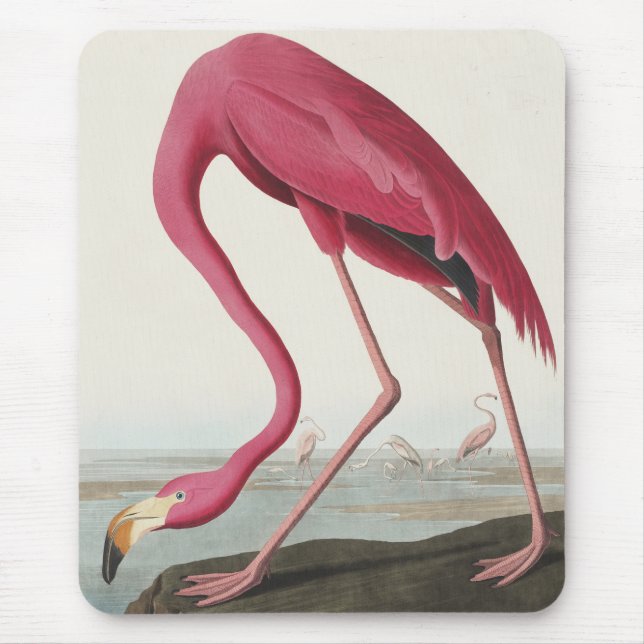Pink Flamingo from Birds of America Mouse Pad (Front)
