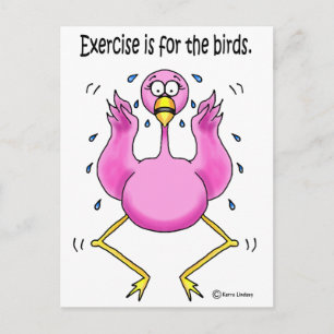 Pink Flamingo Funny Exercise is For the Birds Postcard