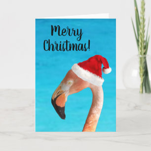 Pink flamingo in a red Santa hat Christmas Card