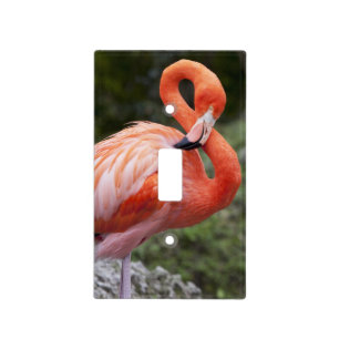 Pink Flamingo Light Switch Covers