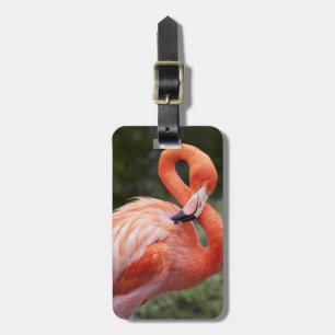 Pink Flamingo Luggage Tag