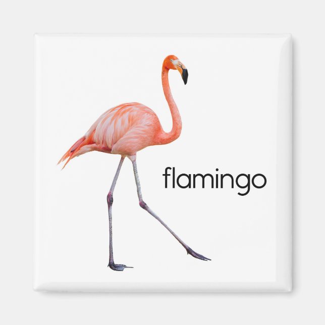 Pink Flamingo Magnet (Front)