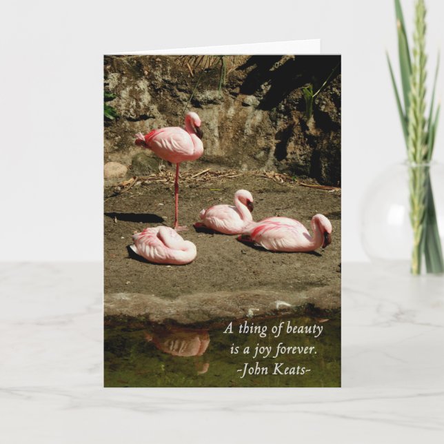PINK FLAMINGO NOTE CARDS (Front)