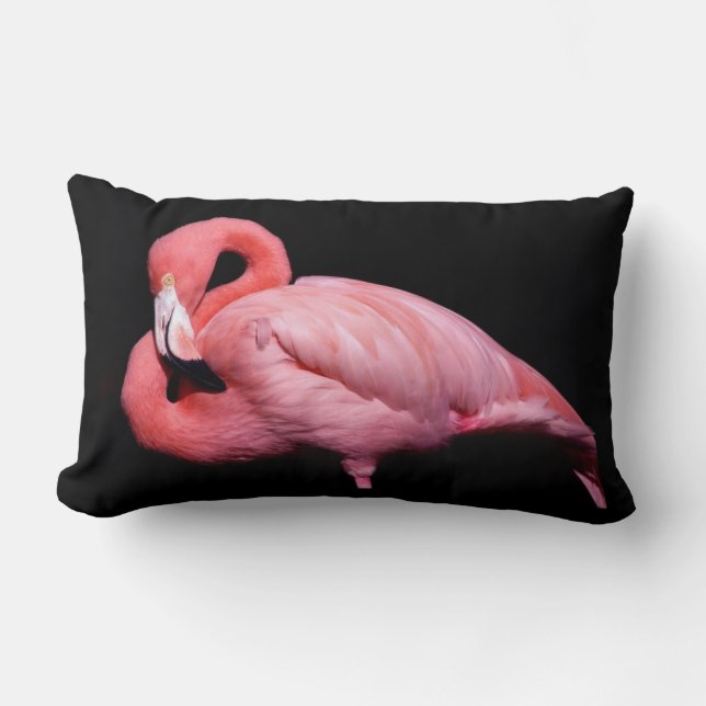 Pink Flamingo on Black Lumbar Cushion (Front)