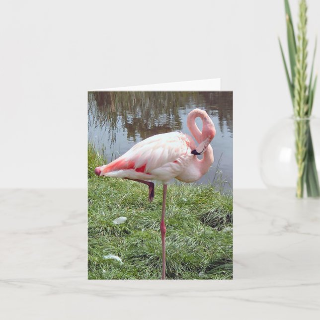 Pink Flamingo Photo Folded Note Card (Front)