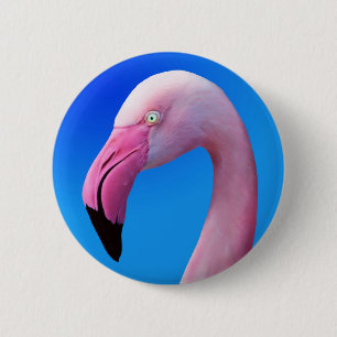 Pink Flamingo Portrait CloseUp Buttons