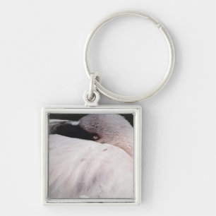Pink Flamingo Portrait Drawing Effect Art Key Ring