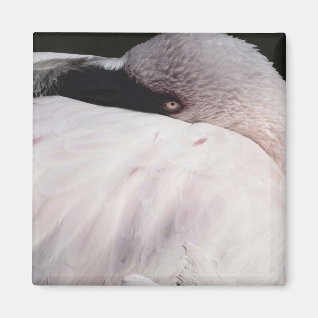 Pink Flamingo Portrait Drawing Effect Art Magnet (Front)