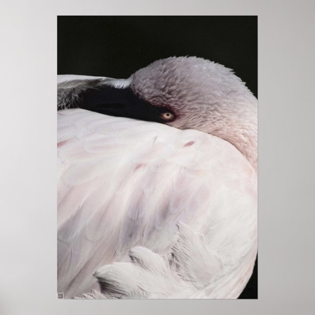 Pink Flamingo Portrait Drawing Effect Art Poster (Front)