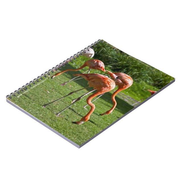 Pink Flamingo Portrait Drawing Effect Art Spiral Notebook (Left Side)