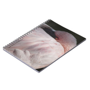 Pink Flamingo Portrait Drawing Effect Art Spiral Notebook