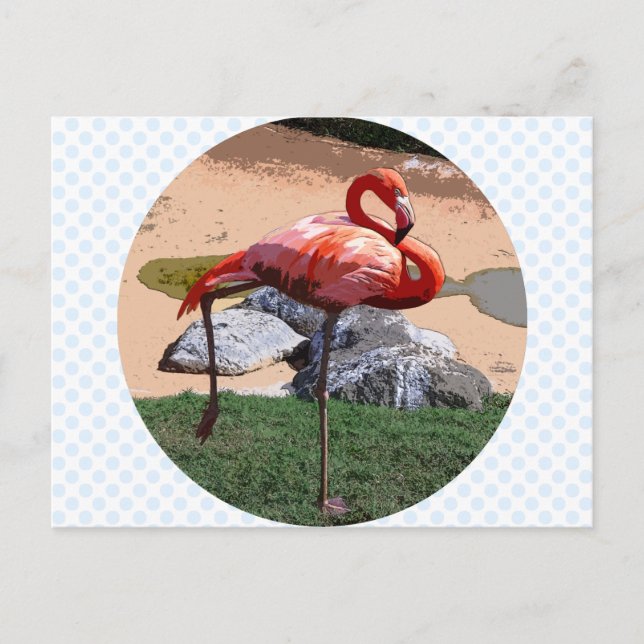Pink Flamingo Postcard (Front)