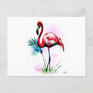 Pink Flamingo Postcard