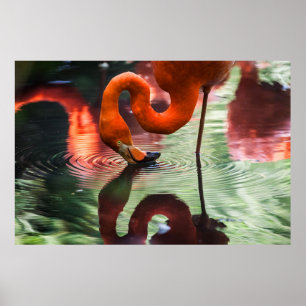 PINK FLAMINGO POSTER