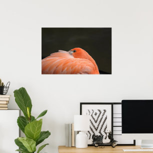 Pink flamingo poster