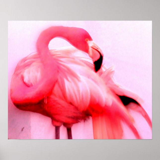 Pink Flamingo Poster (Front)