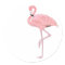 Pink Flamingo Standing One Leg