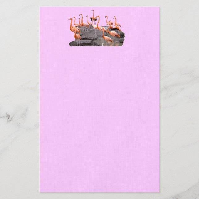Pink Flamingo Stationery (Front)