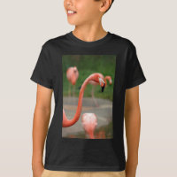 Pink Flamingo