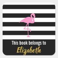 Pink Flamingo This Book Belongs To