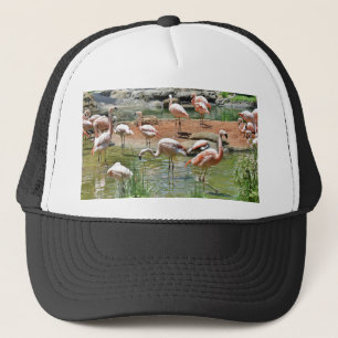 Pink Flamingo Trucker Hat
