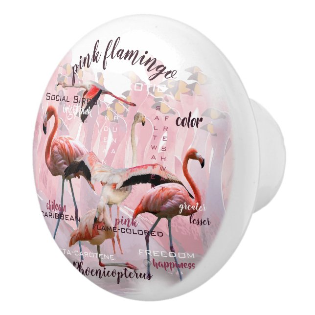 Pink Flamingo Typography | Customised Ceramic Knob (Right)