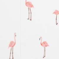 Pink Flamingo