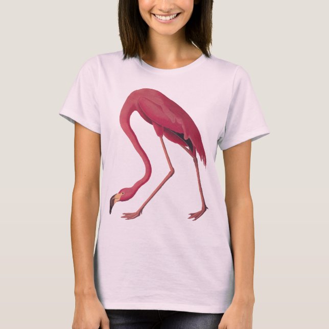 Pink Flamingo Women's T-shirt (Front)