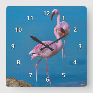 Pink Flamingos at the Lake Square Wall Clock