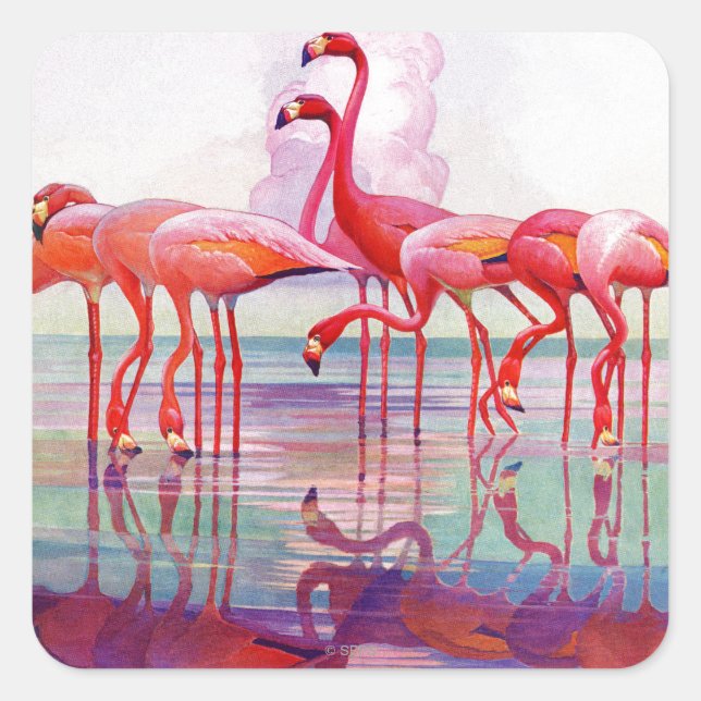 Pink Flamingos by Francis Lee Jaques Square Sticker (Front)