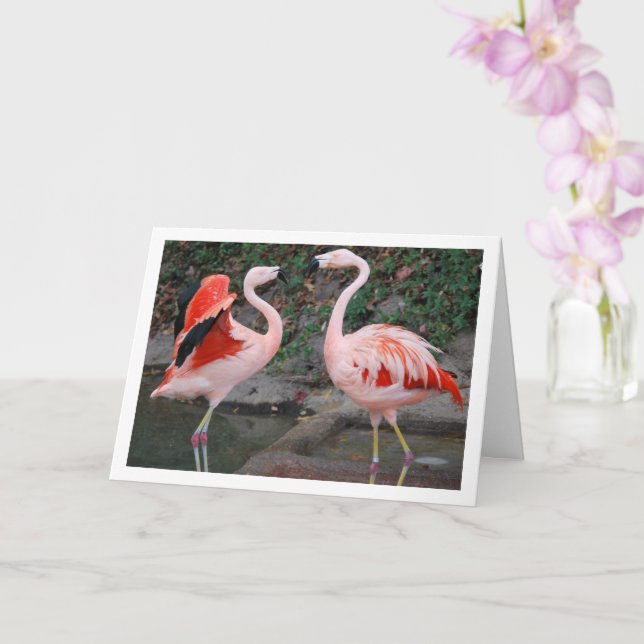 Pink Flamingos Card (Orchid)