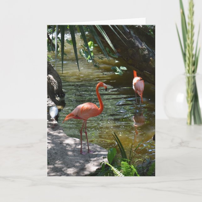 Pink Flamingos Card (Front)