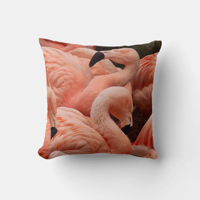Pink flamingos cushion (Front)