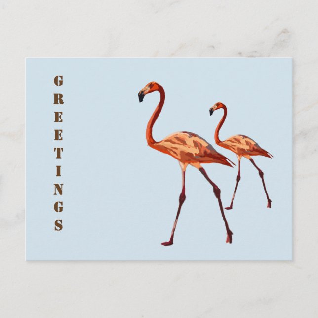 Pink Flamingos Greetings Postcard (Front)