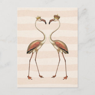 Pink Flamingos in Crowns Postcard