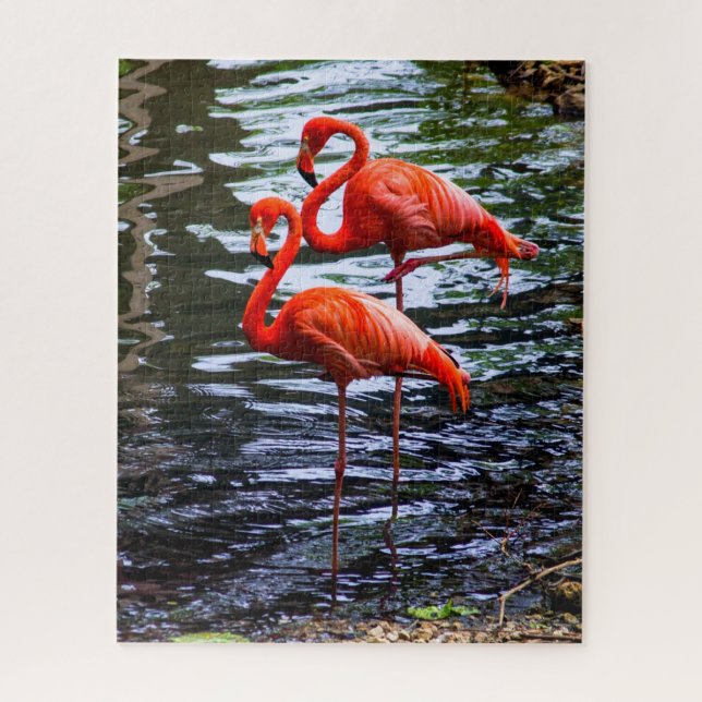 Pink Flamingos in Water Jigsaw Puzzle (Vertical)