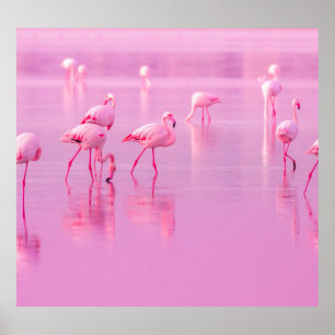 Pink Flamingos Lake Romantic Concept Poster