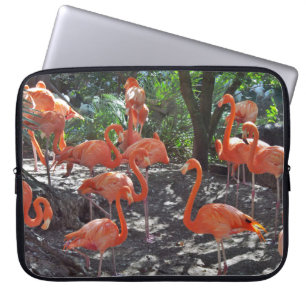 Pink Flamingos Laptop Sleeve