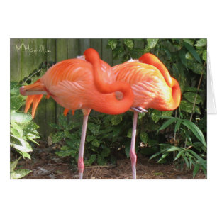 Pink Flamingos Note Cards