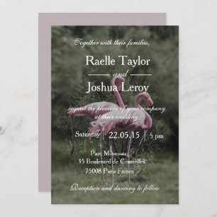 Pink flamingos outdoor nature wedding invitation